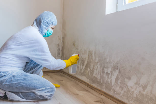 Licensed Bathroom Mold Removal service in Ambler, PA - WQB Mold Removal