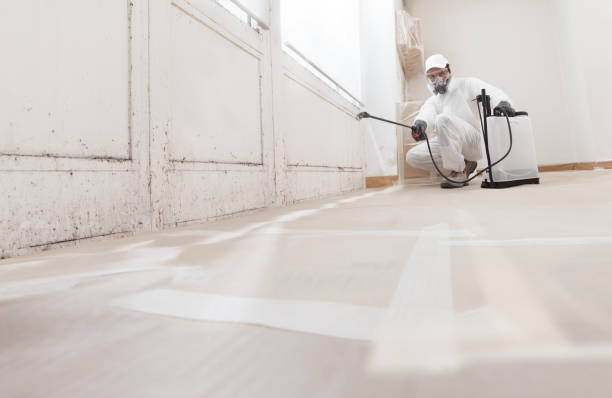 24/7 Emergency Bathroom Mold Removal experts in Ambler, PA