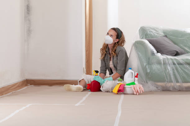 Reliable Bathroom Mold Removal contractor in Ambler, PA by WQB Mold Removal