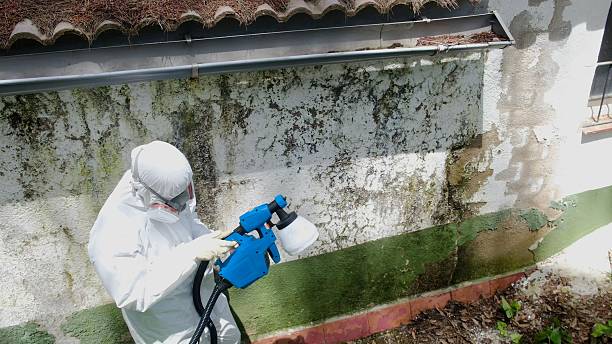 Top rated local Bathroom Mold Removal specialists in Ambler, PA